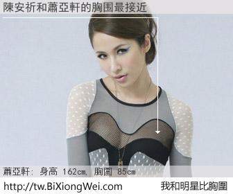 陳安祈和明星比胸圍的結果