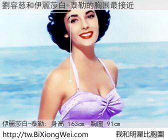 劉容慈和明星比胸圍的結果