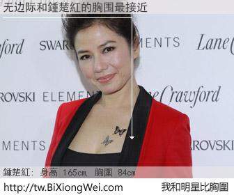 无边际和明星比胸圍的結果