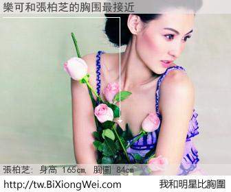 樂可和明星比胸圍的結果