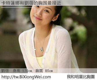 卡特蓮娜和明星比胸圍的結果