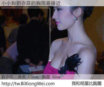 小小和明星比胸圍的結果