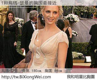 1和明星比胸圍的結果