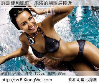 許語倢和明星比胸圍的結果