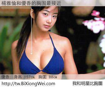 楊雅倫和明星比胸圍的結果