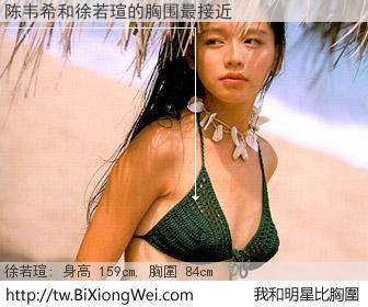 陈韦希和明星比胸圍的結果