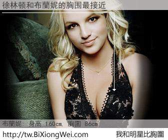 徐林顿和明星比胸圍的結果