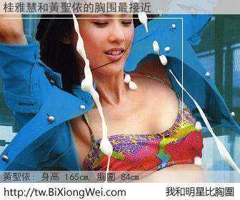 桂雅慧和明星比胸圍的結果
