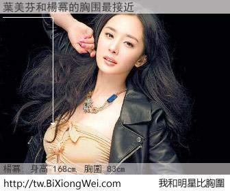 葉美芬和明星比胸圍的結果