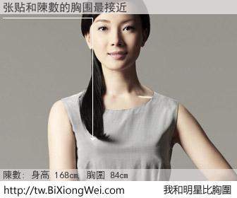 张贴和明星比胸圍的結果