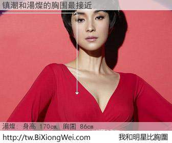 镇潮和明星比胸圍的結果