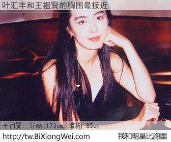 叶汇丰和明星比胸圍的結果