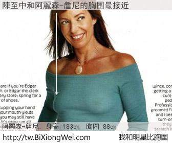 陳至中和明星比胸圍的結果