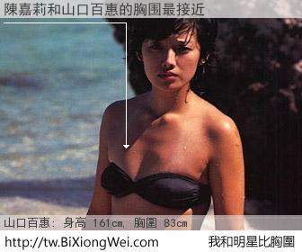 陳嘉莉和明星比胸圍的結果