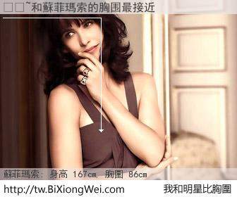 ����和明星比胸圍的結果