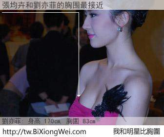 張均卉和明星比胸圍的結果