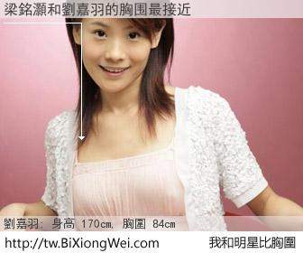 梁銘灝和明星比胸圍的結果