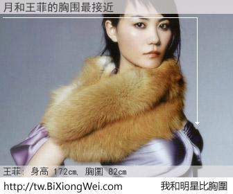 月和明星比胸圍的結果