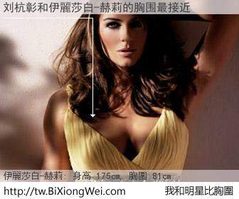 刘杭彰和明星比胸圍的結果