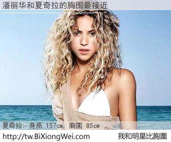 潘丽华和明星比胸圍的結果