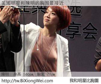 美國明星和明星比胸圍的結果