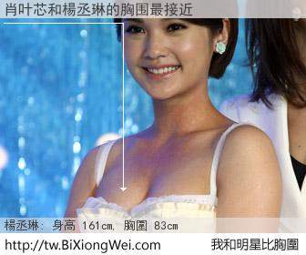 肖叶芯和明星比胸圍的結果