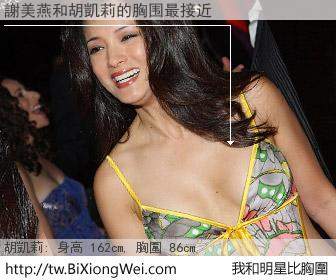 謝美燕和明星比胸圍的結果