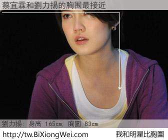 蔡宜霖和明星比胸圍的結果
