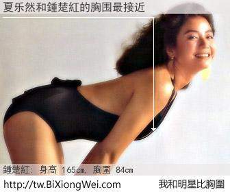夏乐然和明星比胸圍的結果