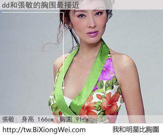 dd和明星比胸圍的結果