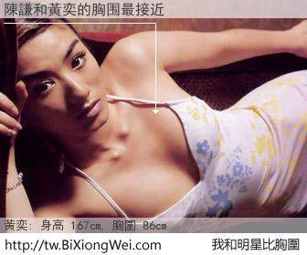 陳謙和明星比胸圍的結果
