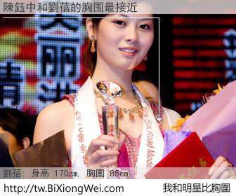 陳鈺中和明星比胸圍的結果