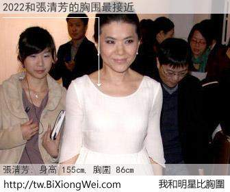 2022和明星比胸圍的結果