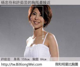 杨忠伶和明星比胸圍的結果