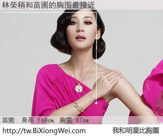 林榮稍和明星比胸圍的結果