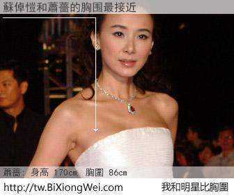 蘇倬愷和明星比胸圍的結果