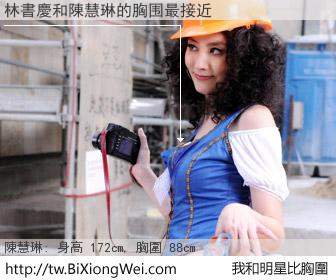 林書慶和明星比胸圍的結果