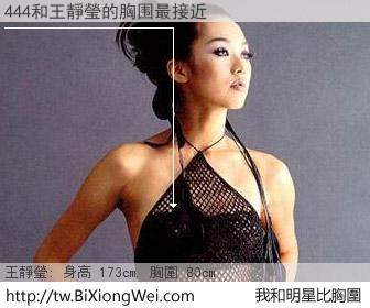 444和明星比胸圍的結果