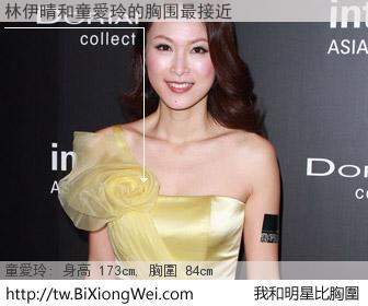 林伊晴和明星比胸圍的結果