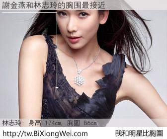 謝金燕和明星比胸圍的結果