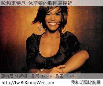 歐和明星比胸圍的結果