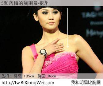 5和明星比胸圍的結果