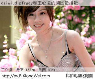 dziwiudlpfrgey和明星比胸圍的結果