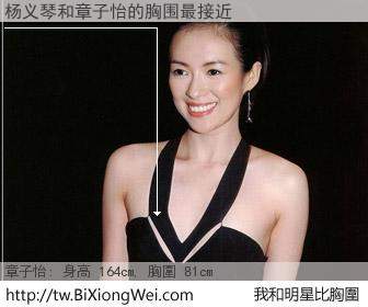 杨义琴和明星比胸圍的結果