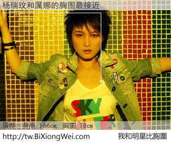 杨瑞玟和明星比胸圍的結果