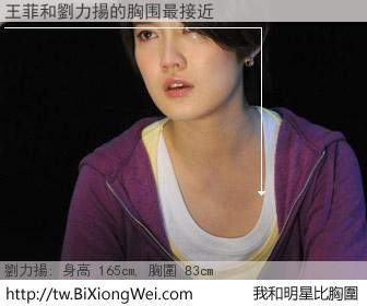 王菲和明星比胸圍的結果