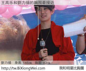 王高乐和明星比胸圍的結果