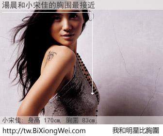 湯晨和明星比胸圍的結果