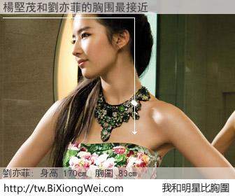 楊堅茂和明星比胸圍的結果