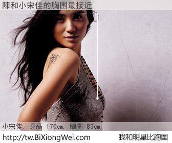 陳和明星比胸圍的結果